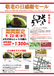 flyer1